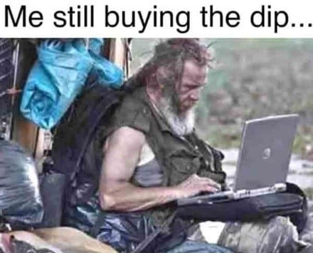 top100cryptomemesof202253mestillbuyingthedip